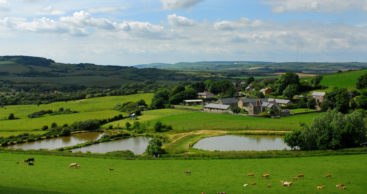 10 Reasons to visit Farm Visit Isle Of Wight